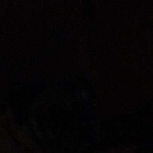 Meet your Posher, Michele